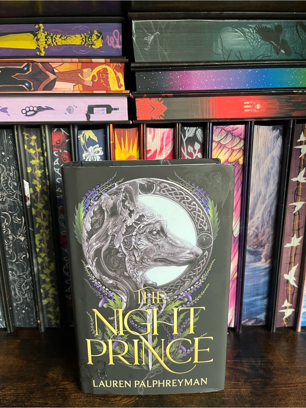 The Night Prince by Lauren Palfreyman
Hardcover Target Exclusive